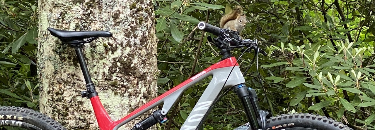 Image of squirrel on a mountain bike